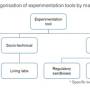 experimentation_tools_swd-2023_277_final.jpg